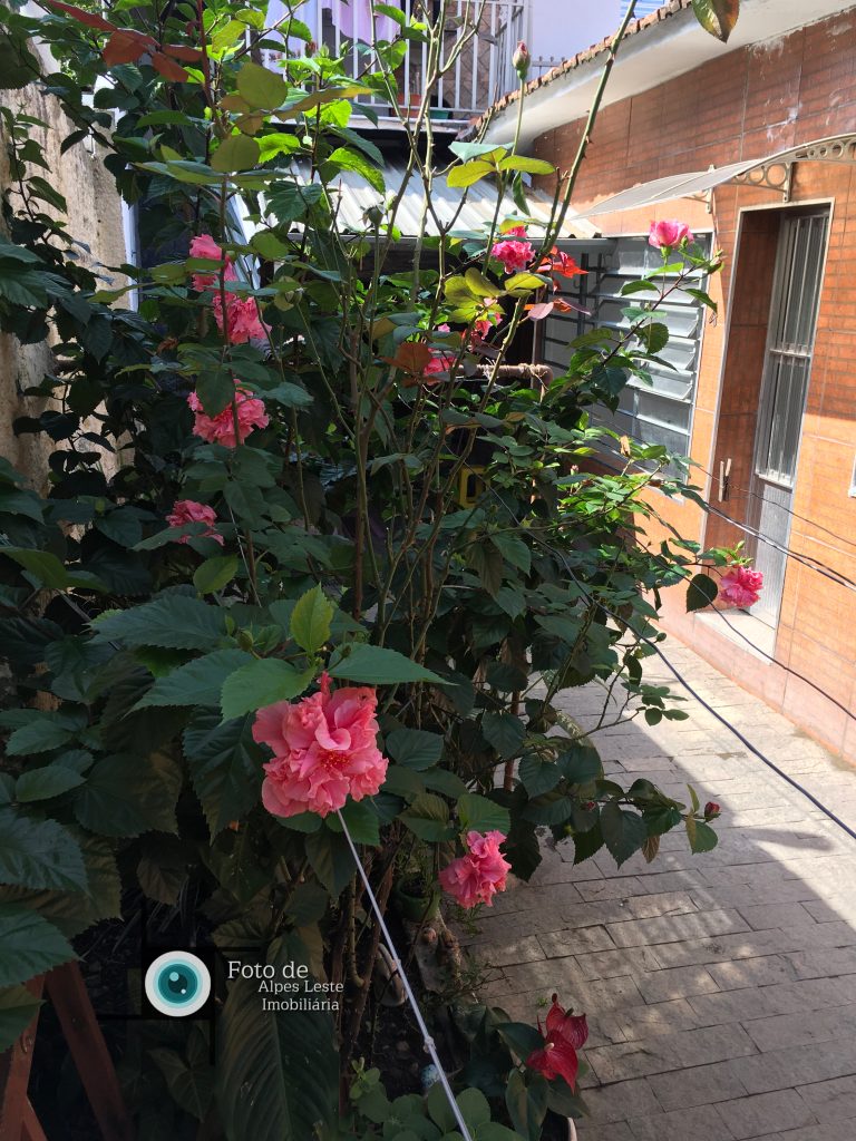 Casa: 4 cômodos c/ 2 banheiros em condomínio de 06 casas – Vila Bela